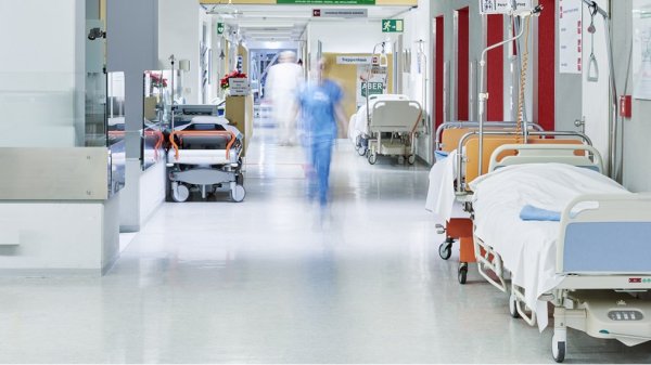 Le BIO est trop cher, les Français optent désormais pour les produits locaux