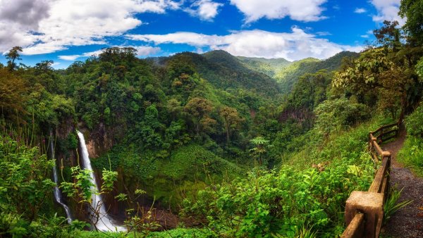 Costa Rica : des exportations multipliées par 1000 en 40 ans